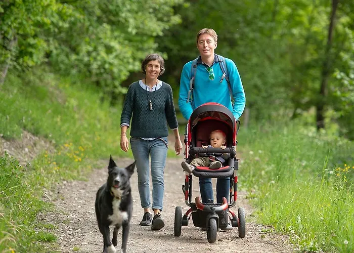 住宿加早餐酒店 Iglusaq 维松纳